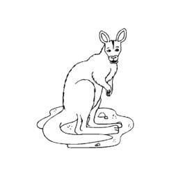 Malvorlage: Känguru (Tiere) #9184 - Kostenlose Malvorlagen zum Ausdrucken
