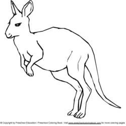 Malvorlage: Känguru (Tiere) #9193 - Kostenlose Malvorlagen zum Ausdrucken