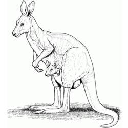Malvorlage: Känguru (Tiere) #9209 - Kostenlose Malvorlagen zum Ausdrucken