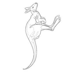 Malvorlage: Känguru (Tiere) #9224 - Kostenlose Malvorlagen zum Ausdrucken
