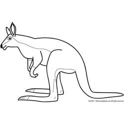 Malvorlage: Känguru (Tiere) #9232 - Kostenlose Malvorlagen zum Ausdrucken