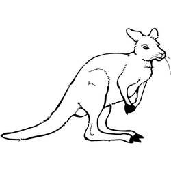 Malvorlage: Känguru (Tiere) #9249 - Kostenlose Malvorlagen zum Ausdrucken
