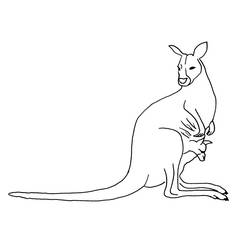 Malvorlage: Känguru (Tiere) #9250 - Kostenlose Malvorlagen zum Ausdrucken