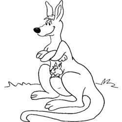 Malvorlage: Känguru (Tiere) #9269 - Kostenlose Malvorlagen zum Ausdrucken