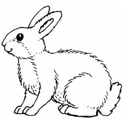 Malvorlage: Kaninchen (Tiere) #9504 - Kostenlose Malvorlagen zum Ausdrucken