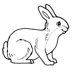 Malvorlage: Kaninchen (Tiere) #9506 - Druckbare Malvorlagen