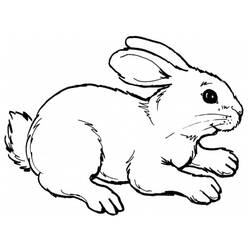 Malvorlage: Kaninchen (Tiere) #9507 - Druckbare Malvorlagen