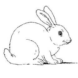 Malvorlage: Kaninchen (Tiere) #9510 - Kostenlose Malvorlagen zum Ausdrucken