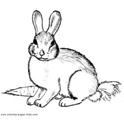 Malvorlage: Kaninchen (Tiere) #9519 - Kostenlose Malvorlagen zum Ausdrucken
