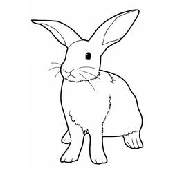 Malvorlage: Kaninchen (Tiere) #9520 - Kostenlose Malvorlagen zum Ausdrucken