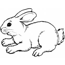 Malvorlage: Kaninchen (Tiere) #9526 - Druckbare Malvorlagen