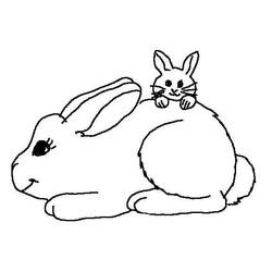Malvorlage: Kaninchen (Tiere) #9532 - Kostenlose Malvorlagen zum Ausdrucken