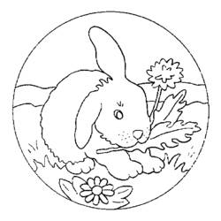Malvorlage: Kaninchen (Tiere) #9536 - Kostenlose Malvorlagen zum Ausdrucken