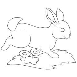 Malvorlage: Kaninchen (Tiere) #9548 - Kostenlose Malvorlagen zum Ausdrucken