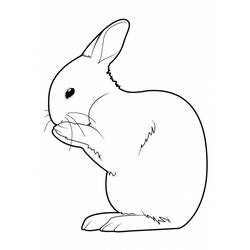 Malvorlage: Kaninchen (Tiere) #9554 - Druckbare Malvorlagen