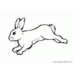 Malvorlage: Kaninchen (Tiere) #9560 - Kostenlose Malvorlagen zum Ausdrucken