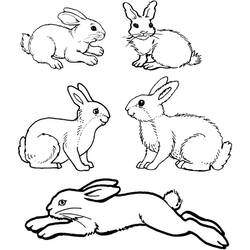 Malvorlage: Kaninchen (Tiere) #9562 - Druckbare Malvorlagen