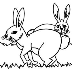 Malvorlage: Kaninchen (Tiere) #9580 - Kostenlose Malvorlagen zum Ausdrucken