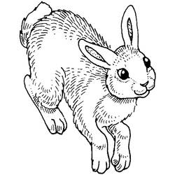 Malvorlage: Kaninchen (Tiere) #9581 - Kostenlose Malvorlagen zum Ausdrucken