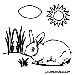 Malvorlage: Kaninchen (Tiere) #9584 - Kostenlose Malvorlagen zum Ausdrucken