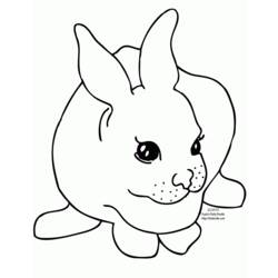 Malvorlage: Kaninchen (Tiere) #9603 - Kostenlose Malvorlagen zum Ausdrucken