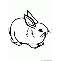 Malvorlage: Kaninchen (Tiere) #9610 - Druckbare Malvorlagen
