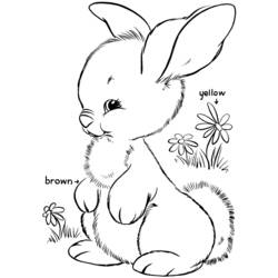 Malvorlage: Kaninchen (Tiere) #9621 - Druckbare Malvorlagen