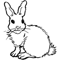 Malvorlage: Kaninchen (Tiere) #9625 - Kostenlose Malvorlagen zum Ausdrucken