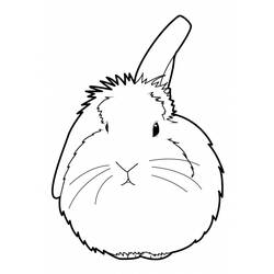 Malvorlage: Kaninchen (Tiere) #9641 - Kostenlose Malvorlagen zum Ausdrucken