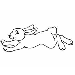Malvorlage: Kaninchen (Tiere) #9677 - Kostenlose Malvorlagen zum Ausdrucken
