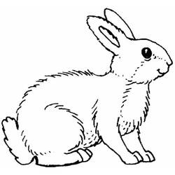 Malvorlage: Kaninchen (Tiere) #9689 - Druckbare Malvorlagen