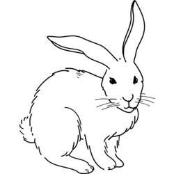 Malvorlage: Kaninchen (Tiere) #9694 - Druckbare Malvorlagen