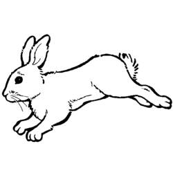 Malvorlage: Kaninchen (Tiere) #9702 - Druckbare Malvorlagen