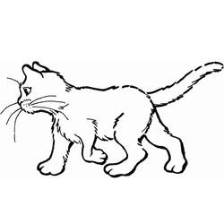 Malvorlage: Katze (Tiere) #1764 - Kostenlose Malvorlagen zum Ausdrucken
