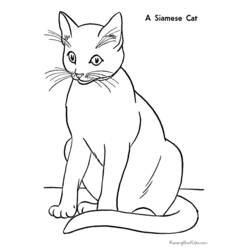 Malvorlage: Katze (Tiere) #1775 - Kostenlose Malvorlagen zum Ausdrucken