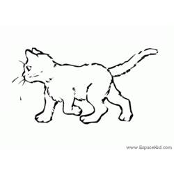 Malvorlage: Katze (Tiere) #1812 - Kostenlose Malvorlagen zum Ausdrucken