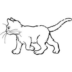 Malvorlage: Katze (Tiere) #1822 - Kostenlose Malvorlagen zum Ausdrucken
