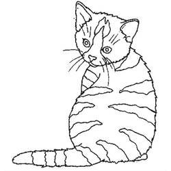 Malvorlage: Katze (Tiere) #1843 - Kostenlose Malvorlagen zum Ausdrucken