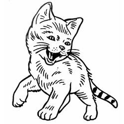 Malvorlage: Katze (Tiere) #1904 - Kostenlose Malvorlagen zum Ausdrucken