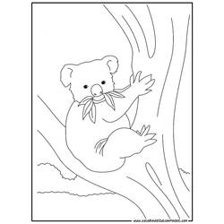 Malvorlage: Koala (Tiere) #9342 - Kostenlose Malvorlagen zum Ausdrucken