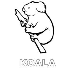 Malvorlage: Koala (Tiere) #9352 - Kostenlose Malvorlagen zum Ausdrucken