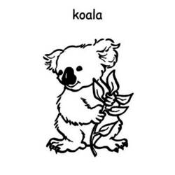 Malvorlage: Koala (Tiere) #9420 - Kostenlose Malvorlagen zum Ausdrucken