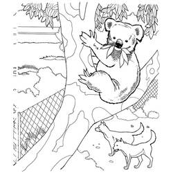 Malvorlage: Koala (Tiere) #9470 - Kostenlose Malvorlagen zum Ausdrucken