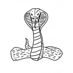 Zeichnungen zum Ausmalen: Kobra - Druckbare Malvorlagen
