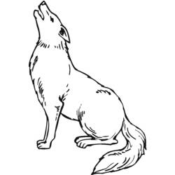 Zeichnungen zum Ausmalen: Kojote - Druckbare Malvorlagen