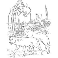 Malvorlage: Kojote (Tiere) #4550 - Kostenlose Malvorlagen zum Ausdrucken