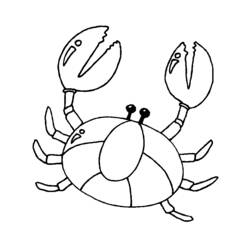 Malvorlage: Krabbe (Tiere) #4591 - Kostenlose Malvorlagen zum Ausdrucken