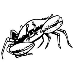 Malvorlage: Krabbe (Tiere) #4602 - Kostenlose Malvorlagen zum Ausdrucken