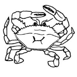 Malvorlage: Krabbe (Tiere) #4611 - Kostenlose Malvorlagen zum Ausdrucken