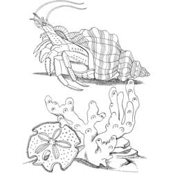 Malvorlage: Krabbe (Tiere) #4616 - Kostenlose Malvorlagen zum Ausdrucken